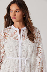 Celie Crochet Lace Mini Dress