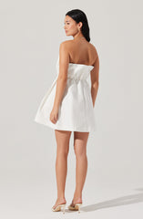Clemira Pleated Mini Dress
