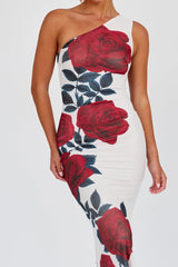 Desiree One Shoulder Mesh Maxi Dres Rose